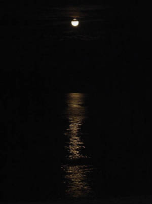 webassets/Full_Moon_over_Rye_Beach_NH.jpg