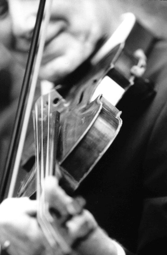 webassets/Al_Gould_BW_violin.jpg